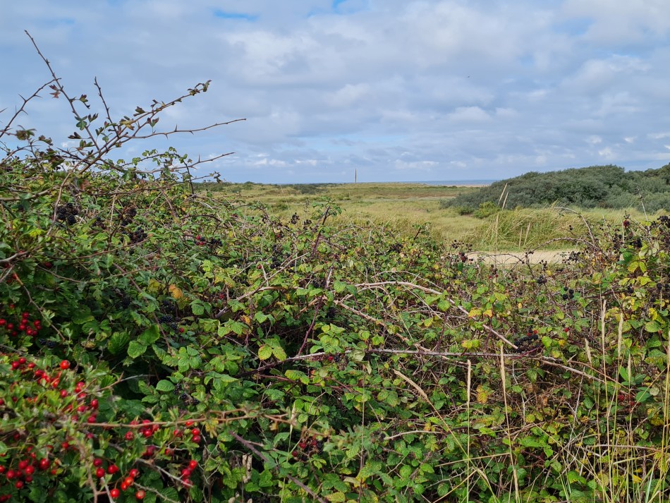 2023-09-23 13 Hunstanton.jpg