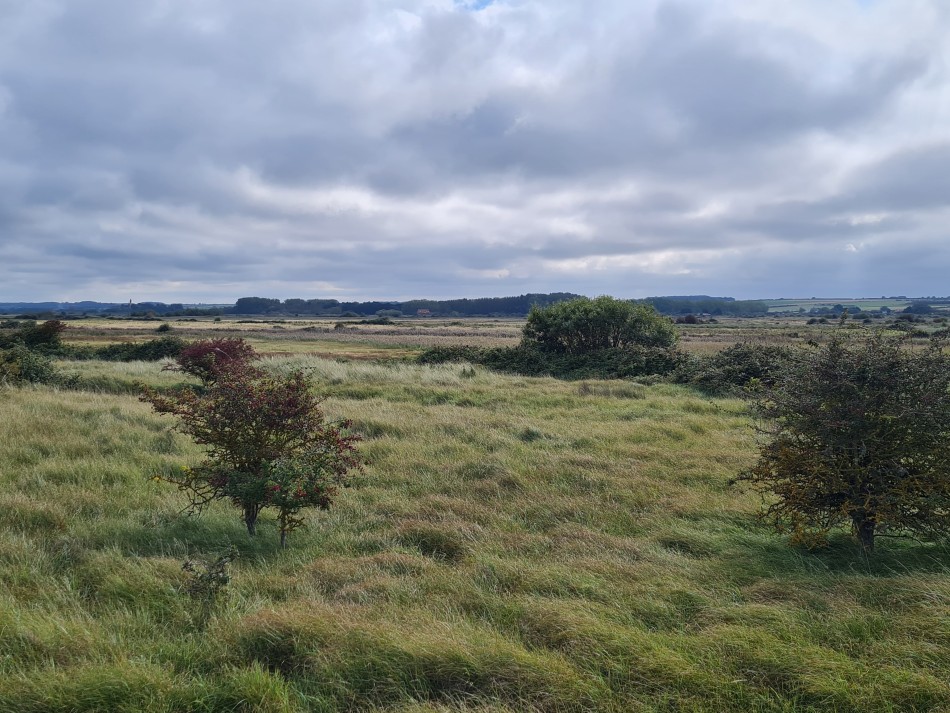 2023-09-23 14 Hunstanton.jpg