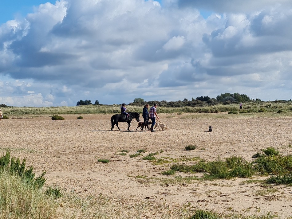 2023-09-23 23 Hunstanton.jpg