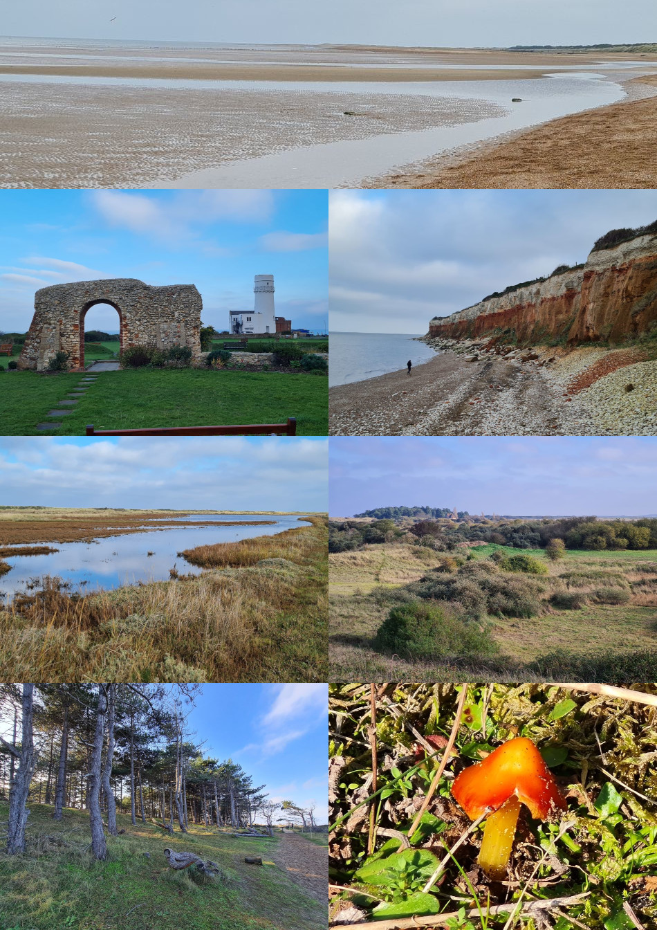 2023-09-23 98 Image.jpg