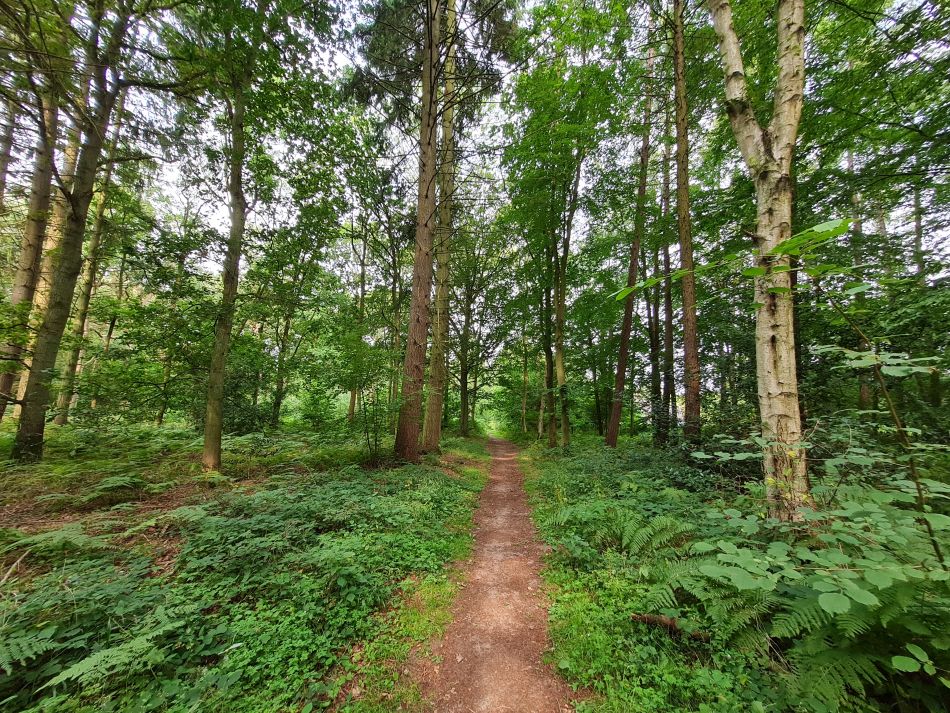 2023-08-29 04 Rougham and Maypole Green.jpg