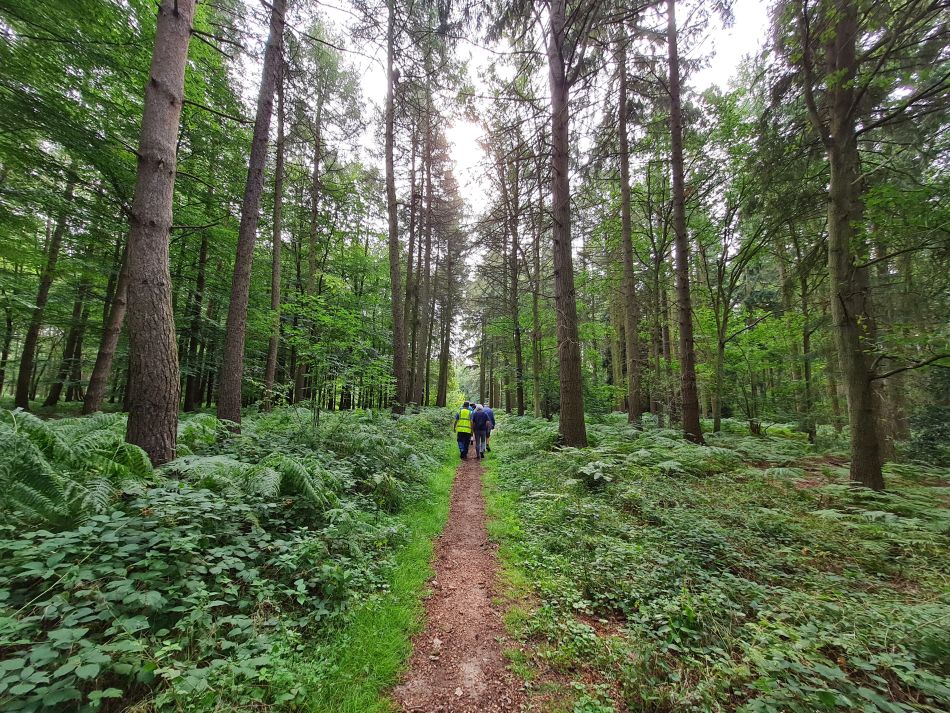 2023-08-29 05 Rougham and Maypole Green.jpg