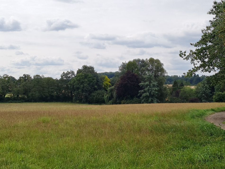 2023-08-29 07 Rougham and Maypole Green.jpg