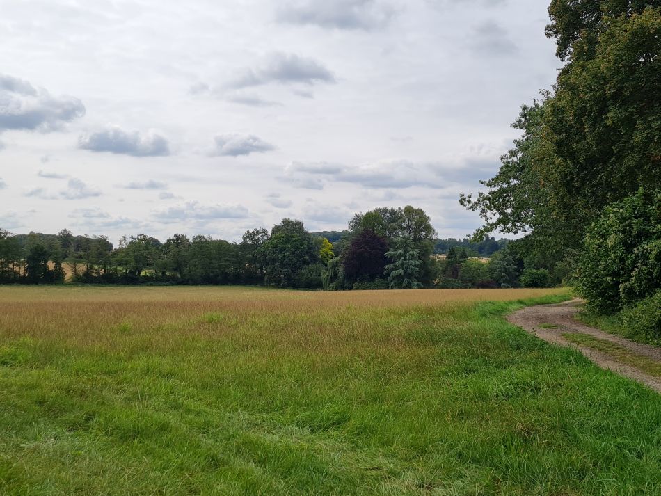 2023-08-29 08 Rougham and Maypole Green.jpg