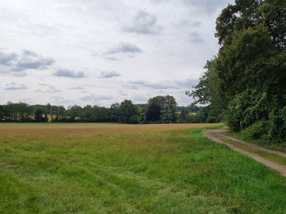 2023-08-29 09 Rougham and Maypole Green.jpg