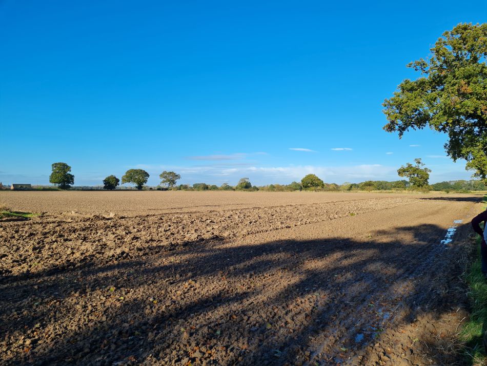 2023-11-07 01 Stokesby and Muck Fleet.jpg