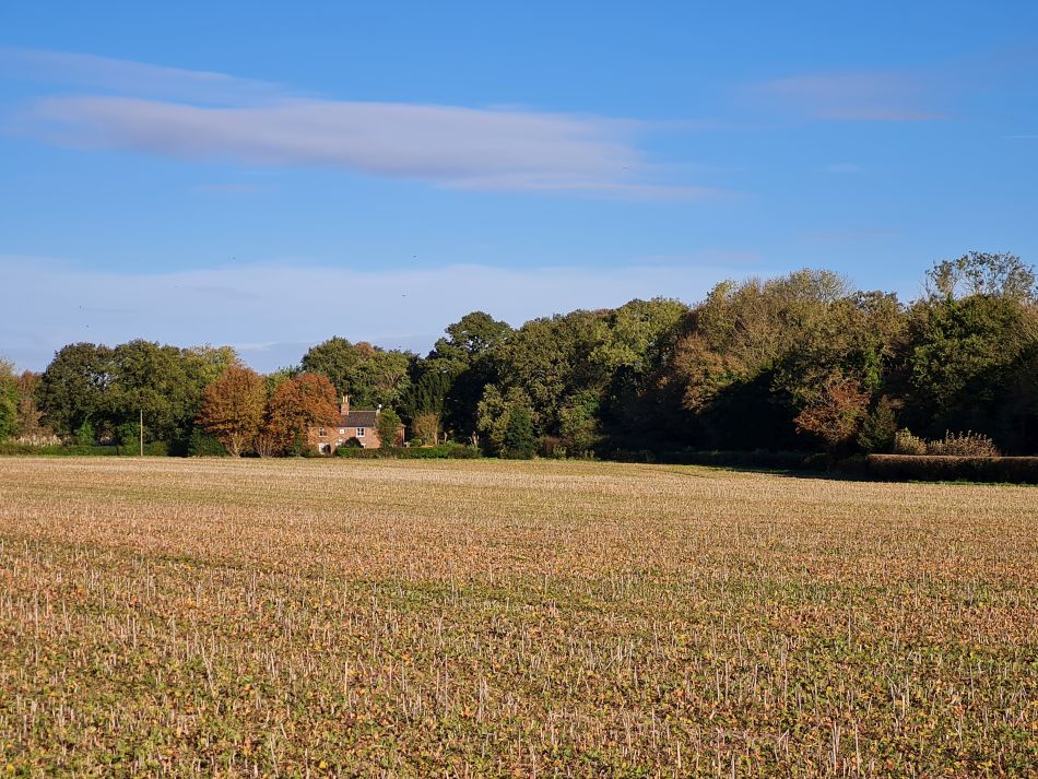 2023-11-07 02 Stokesby and Muck Fleet.jpg