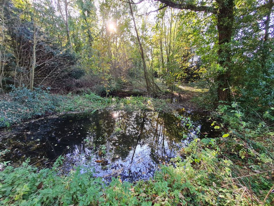 2023-11-07 04 Stokesby and Muck Fleet.jpg