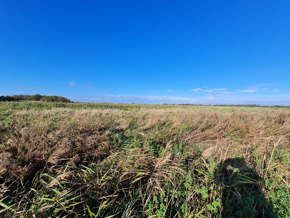 2023-11-07 05 Stokesby and Muck Fleet.jpg