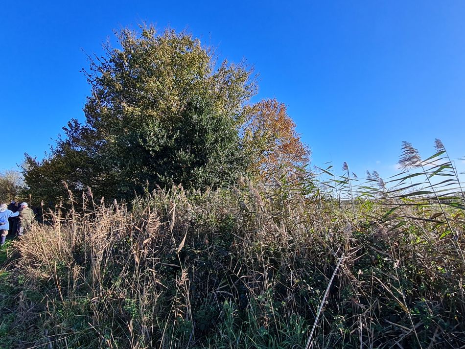 2023-11-07 08 Stokesby and Muck Fleet.jpg