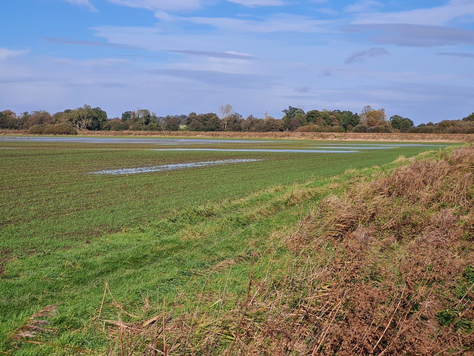 2023-11-07 09 Stokesby and Muck Fleet.jpg