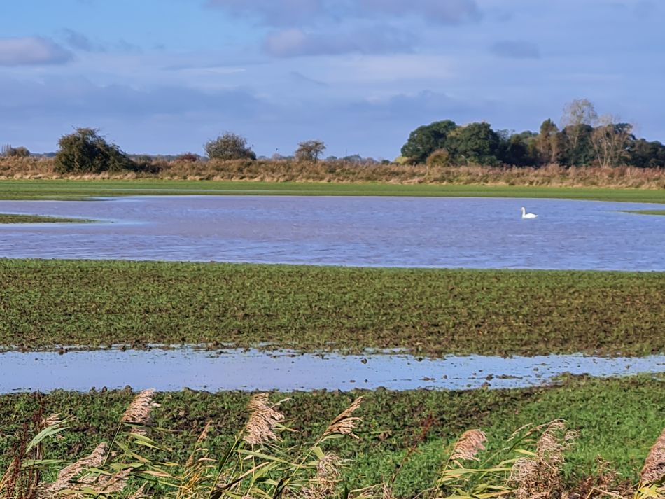 2023-11-07 10 Stokesby and Muck Fleet.jpg