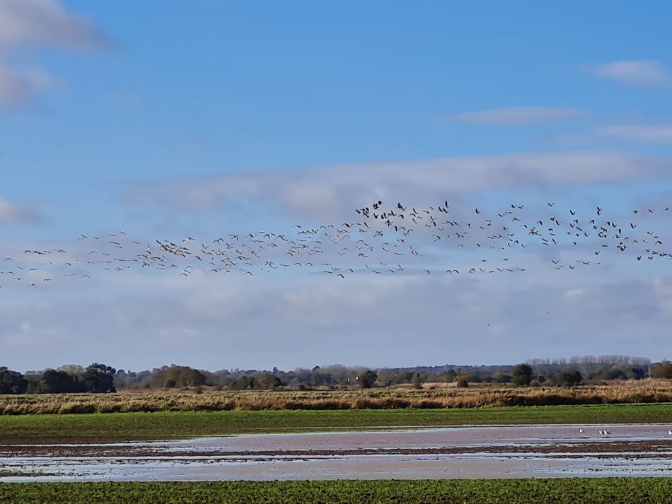2023-11-07 13 Stokesby and Muck Fleet.jpg