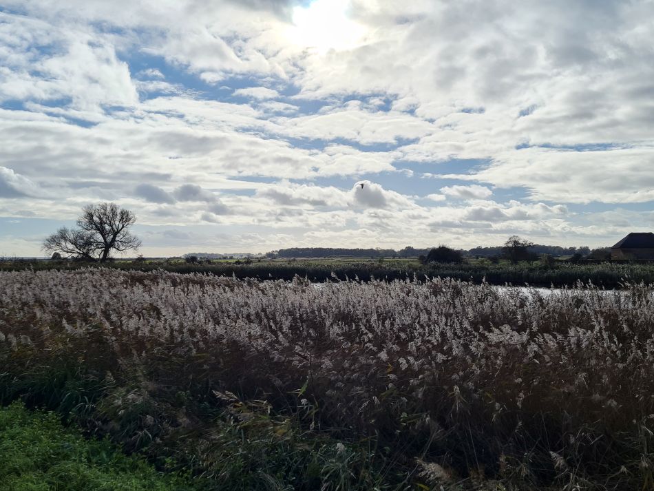 2023-11-07 21 Stokesby and Muck Fleet.jpg