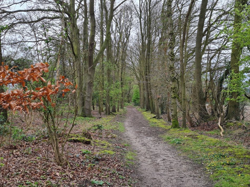 2024-03-31 07 Eaton Marshes with Mid Norfolk Group.jpg