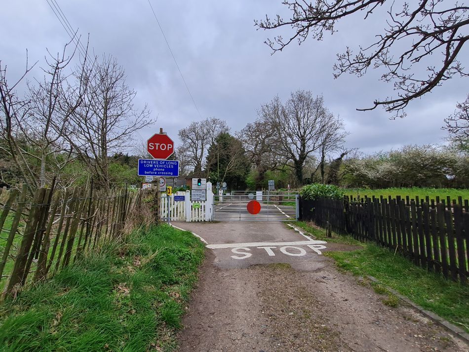 2024-03-31 14 Eaton Marshes with Mid Norfolk Group.jpg