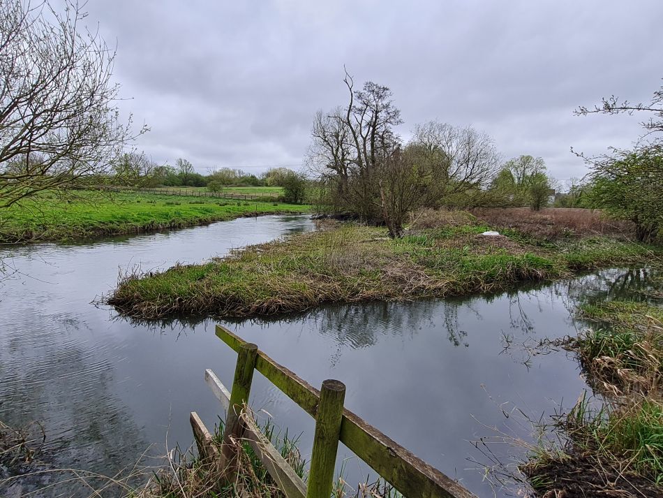 2024-03-31 19 Eaton Marshes with Mid Norfolk Group.jpg