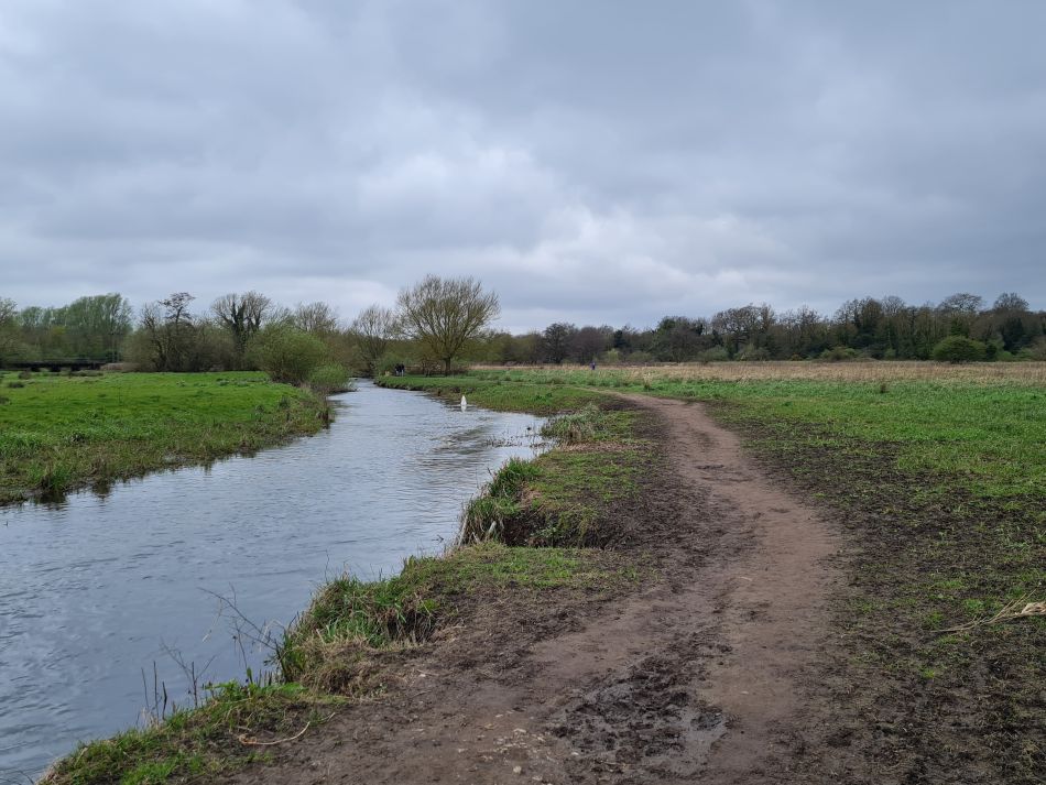2024-03-31 20 Eaton Marshes with Mid Norfolk Group.jpg