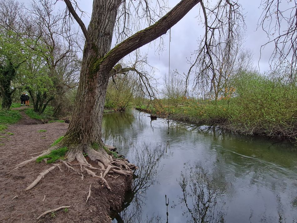 2024-03-31 21 Eaton Marshes with Mid Norfolk Group.jpg