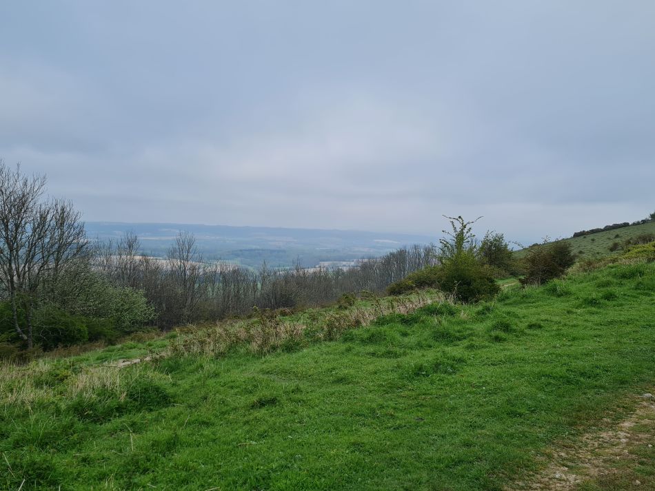 2024-04-23 03 Harting Down.jpg