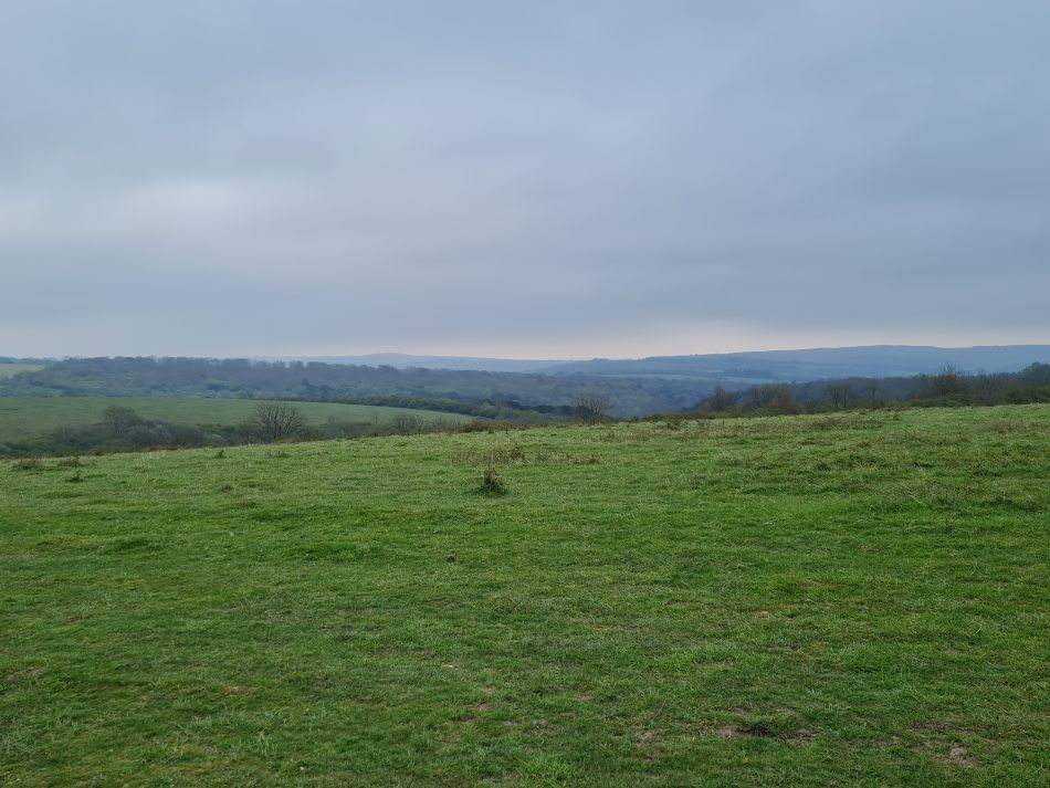 2024-04-23 07 Harting Down.jpg