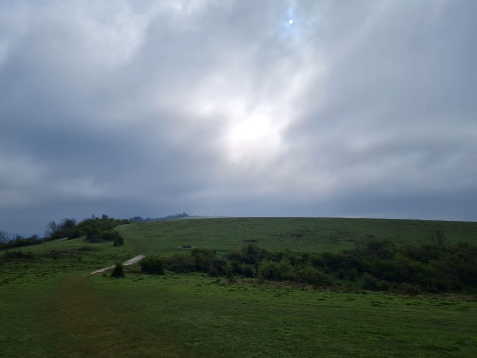 2024-04-23 08 Harting Down.jpg