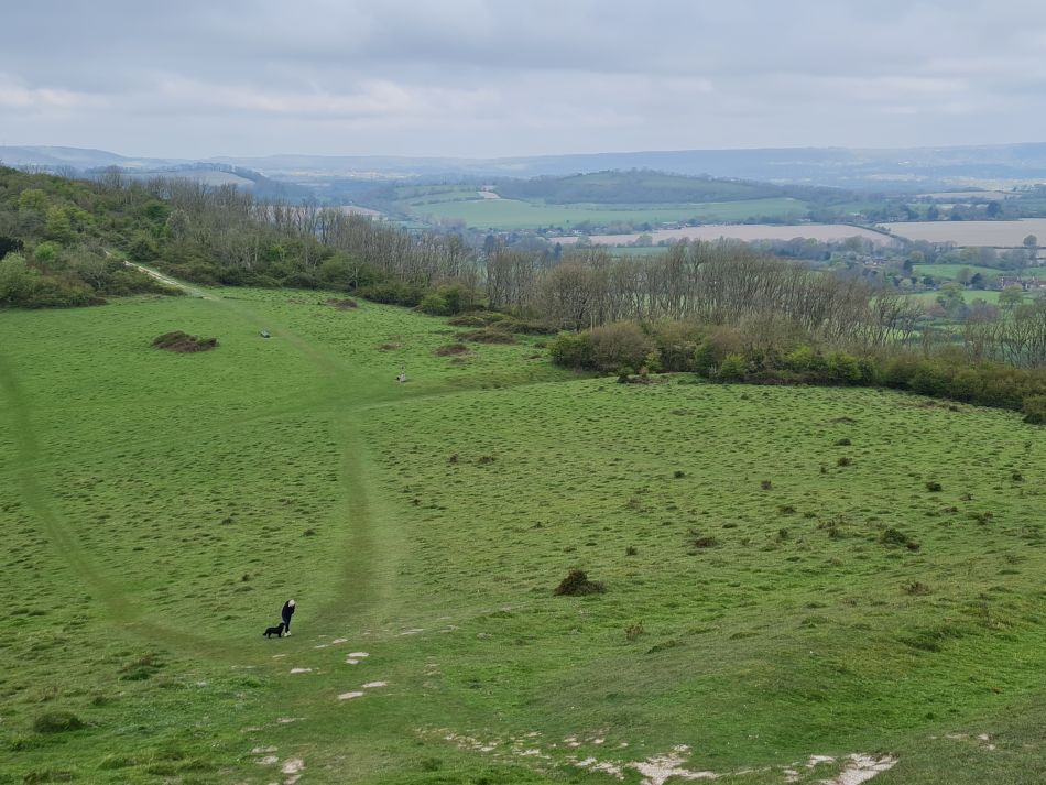 2024-04-23 18 Harting Down.jpg