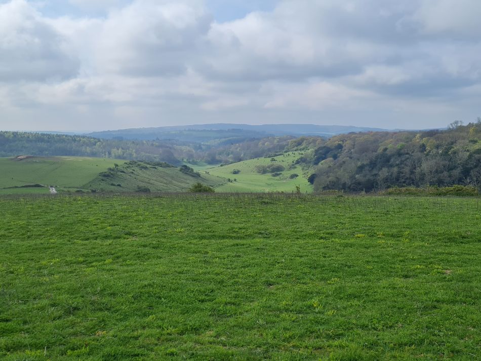 2024-04-23 24 Harting Down.jpg