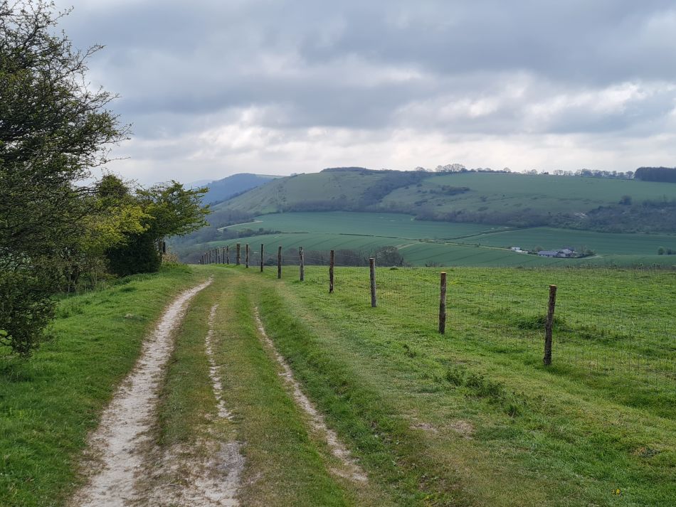 2024-04-23 26 Harting Down.jpg