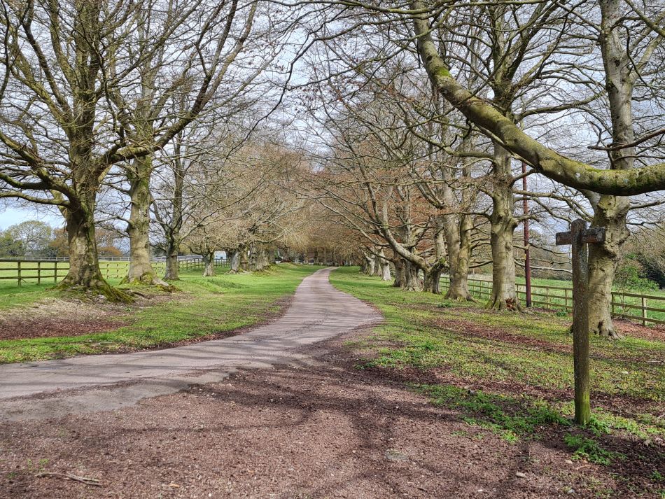 2024-04-23 35 Harting Down.jpg