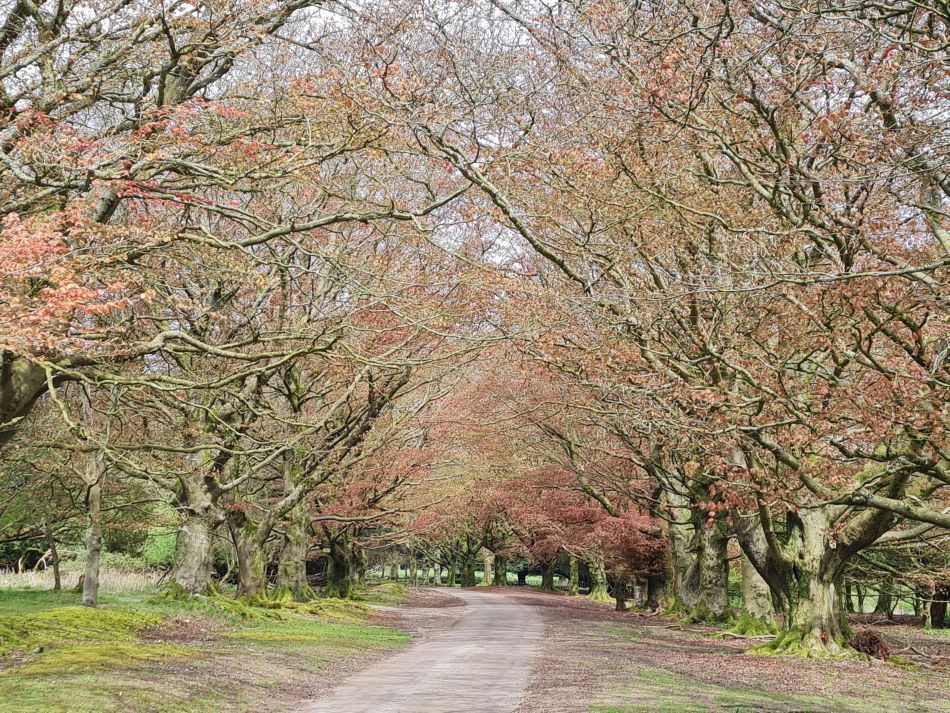 2024-04-23 37 Harting Down.jpg