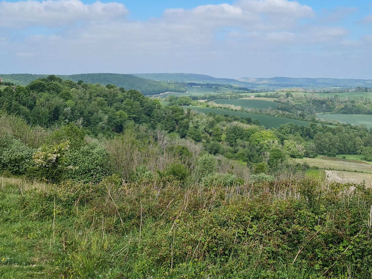 2025-05-17 03 Harting Down.jpg