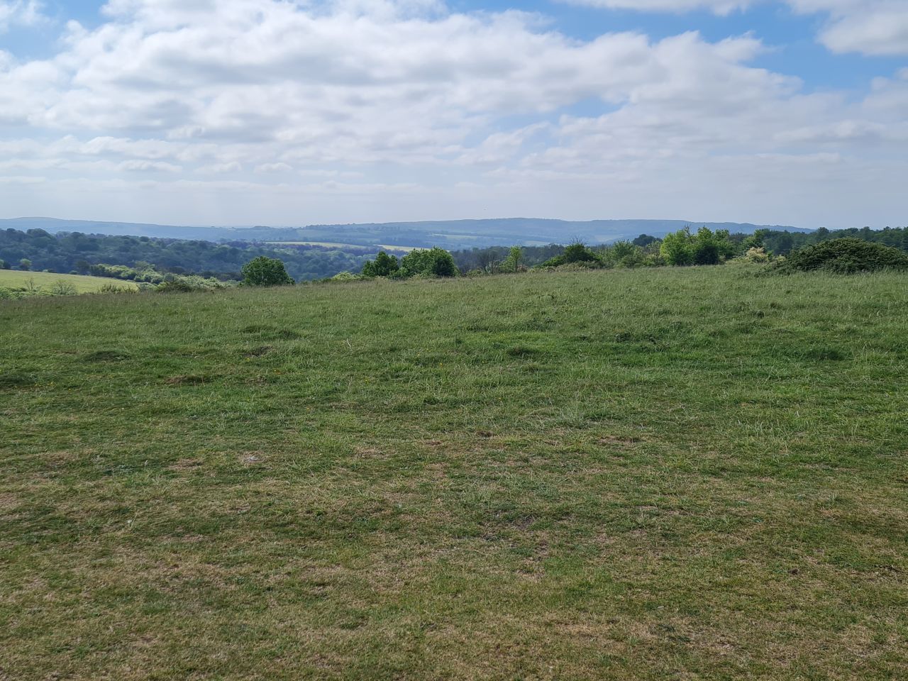 2025-05-17 06 Harting Down.jpg