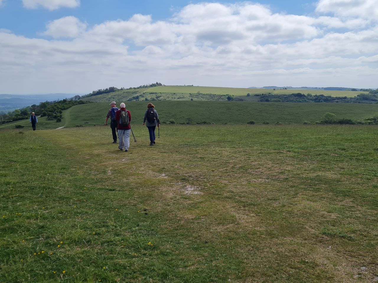 2025-05-17 07 Harting Down.jpg