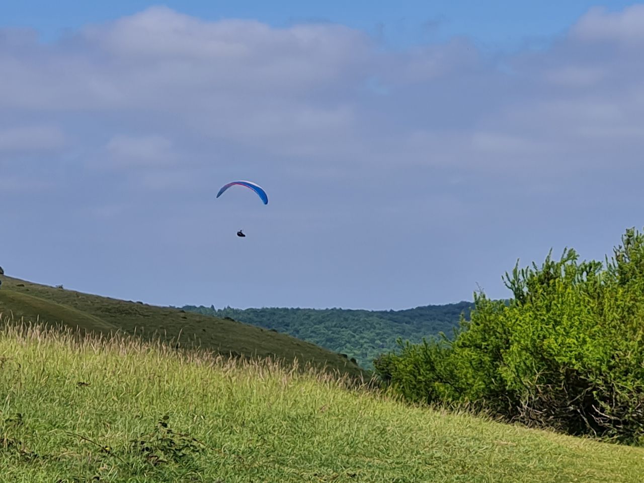 2025-05-17 09 Harting Down.jpg