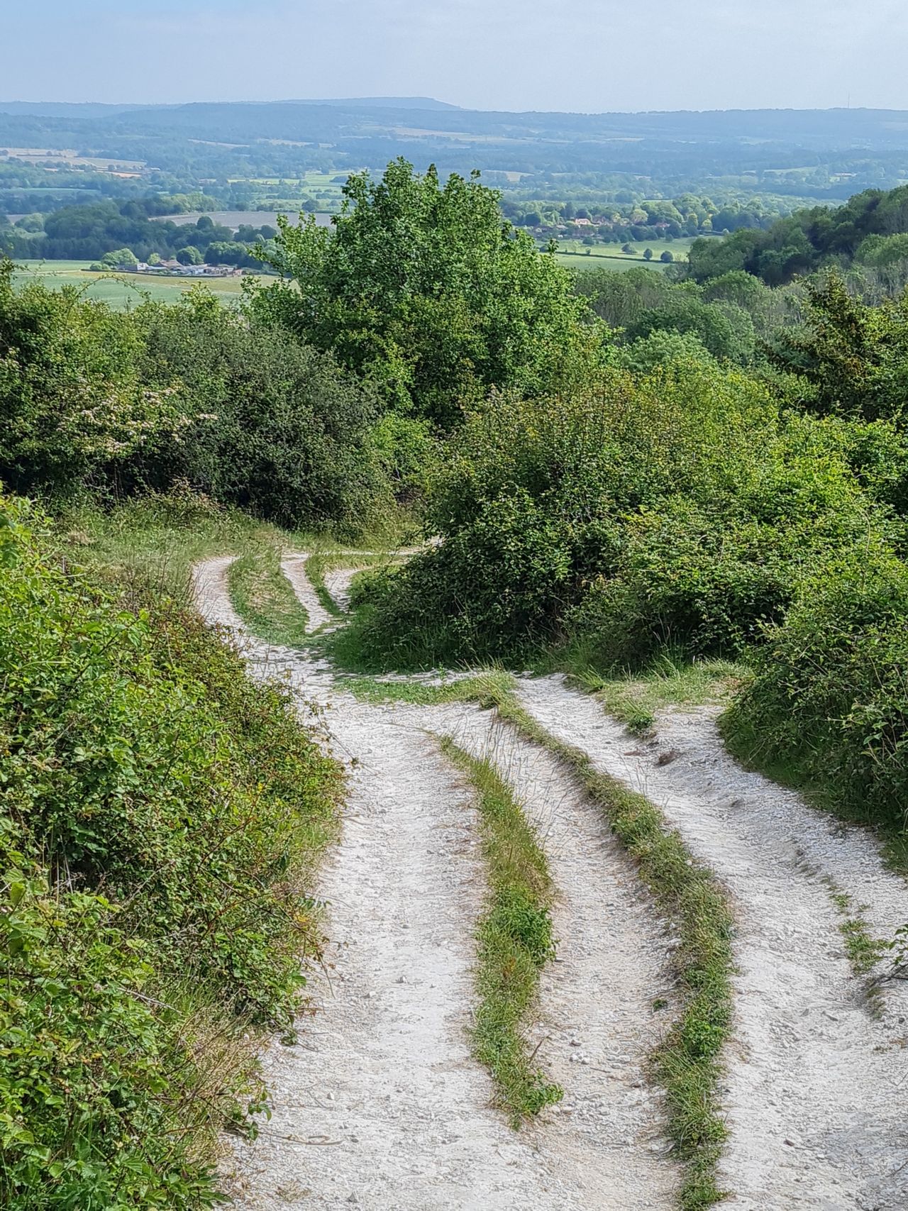 2025-05-17 10 Harting Down.jpg