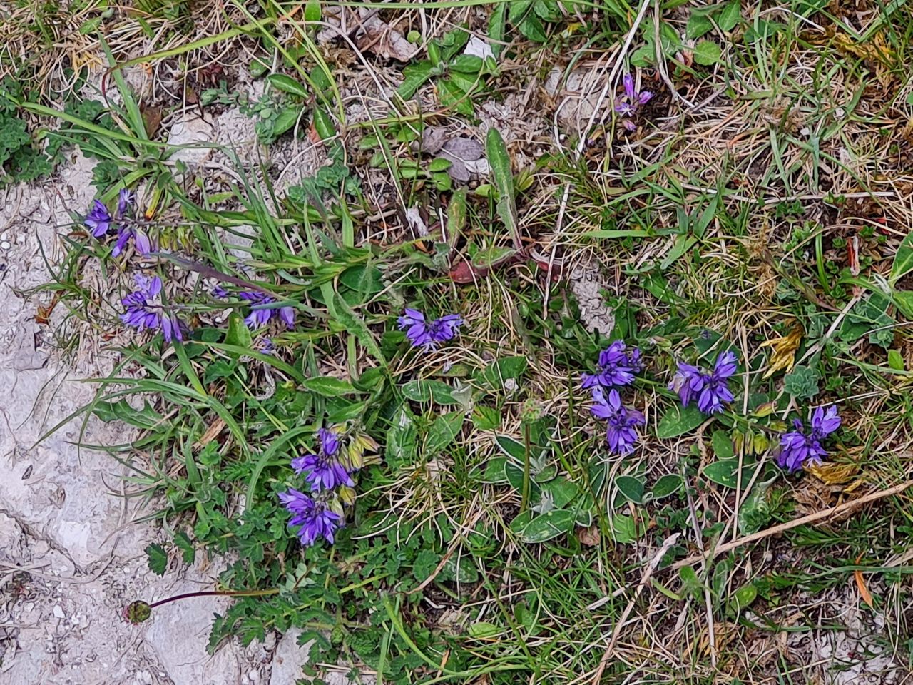 2025-05-17 11 Harting Down.jpg