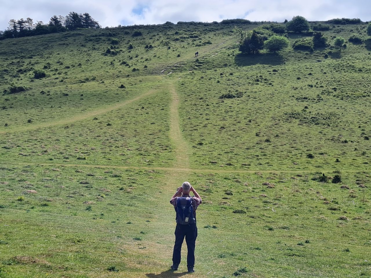 2025-05-17 12 Harting Down.jpg