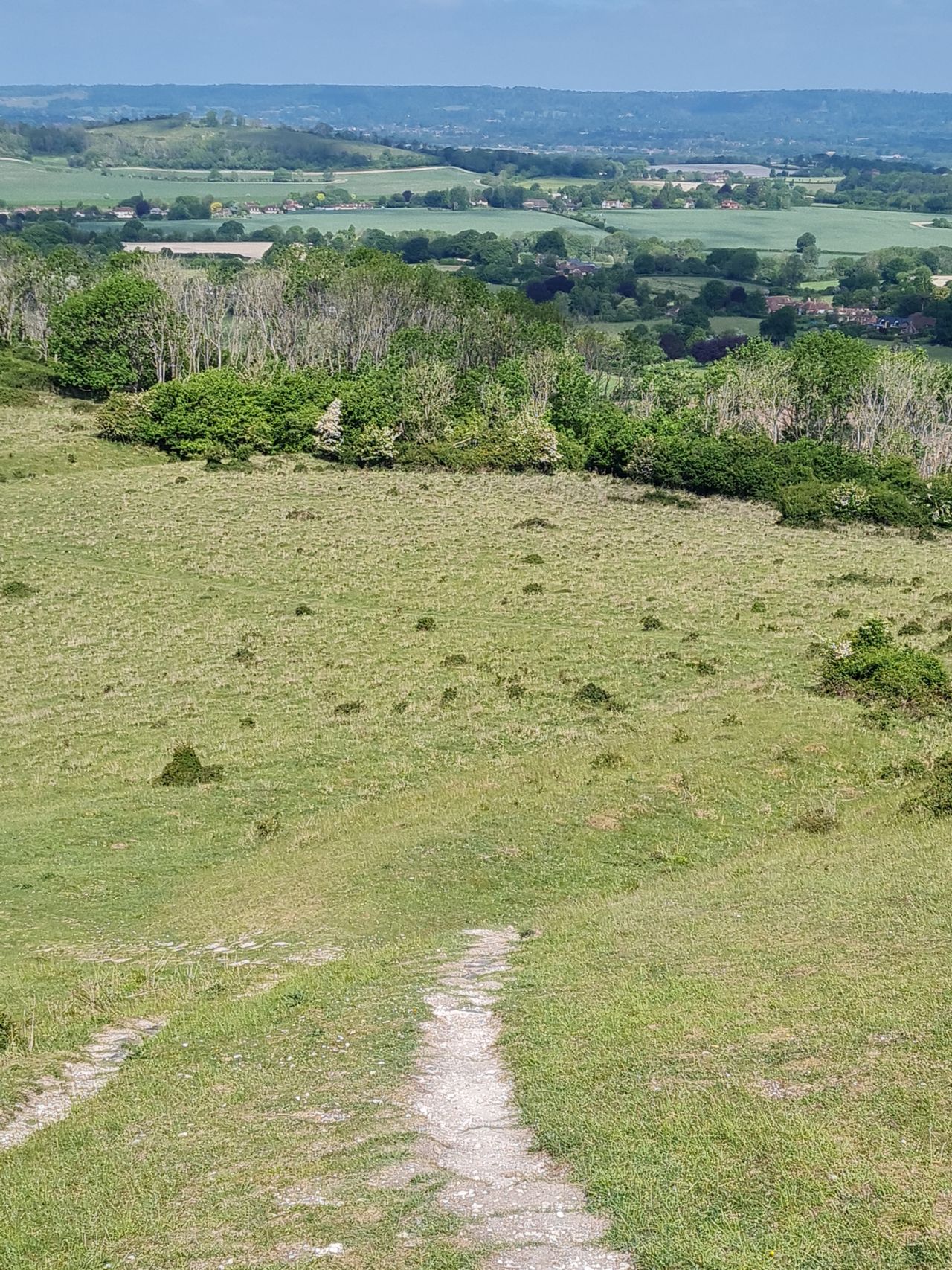 2025-05-17 13 Harting Down.jpg