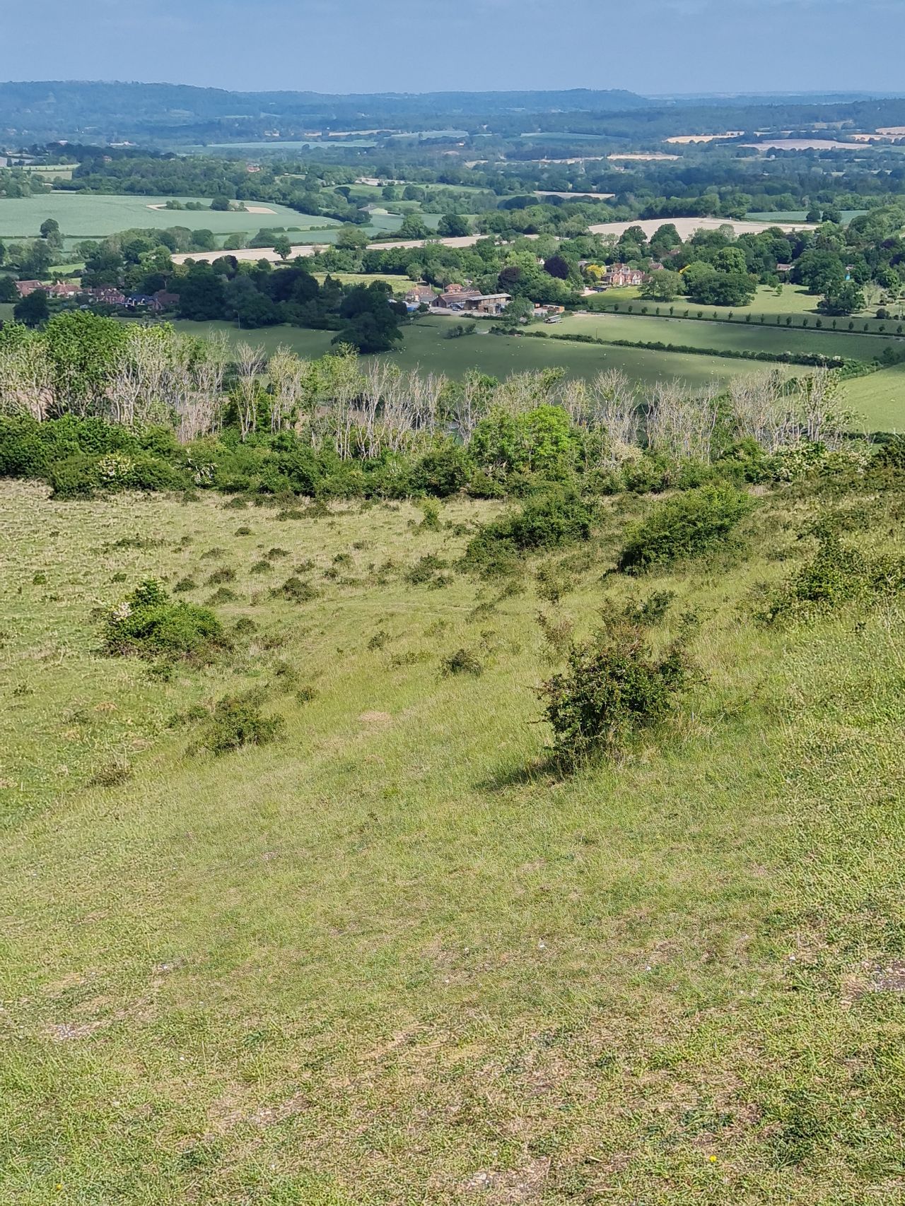 2025-05-17 14 Harting Down.jpg