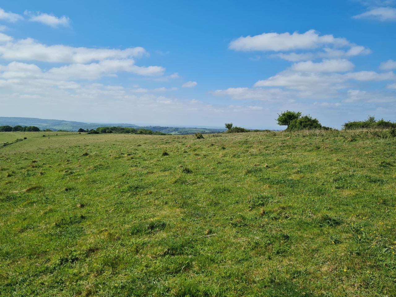 2025-05-17 18 Harting Down.jpg