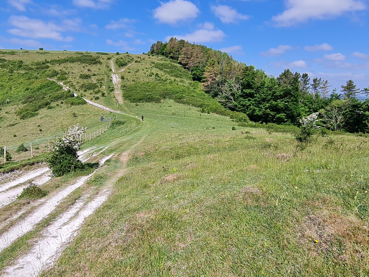 2025-05-17 19 Harting Down.jpg