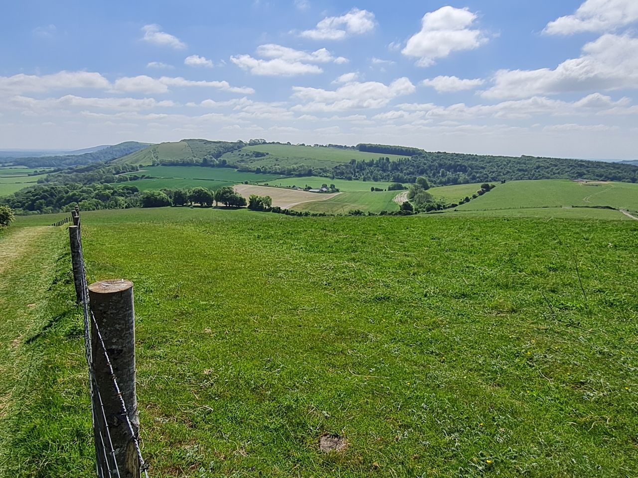 2025-05-17 20 Harting Down.jpg