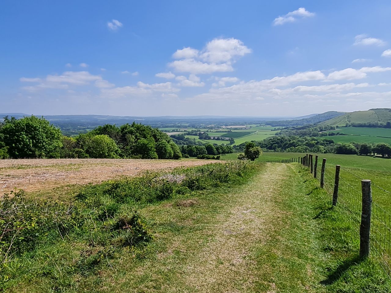 2025-05-17 21 Harting Down.jpg