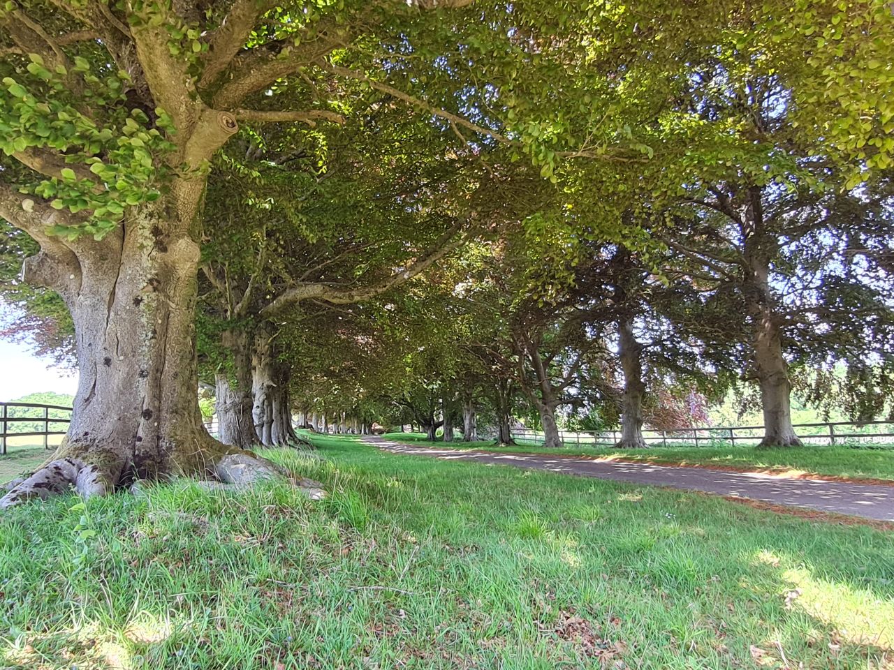 2025-05-17 23 Harting Down.jpg