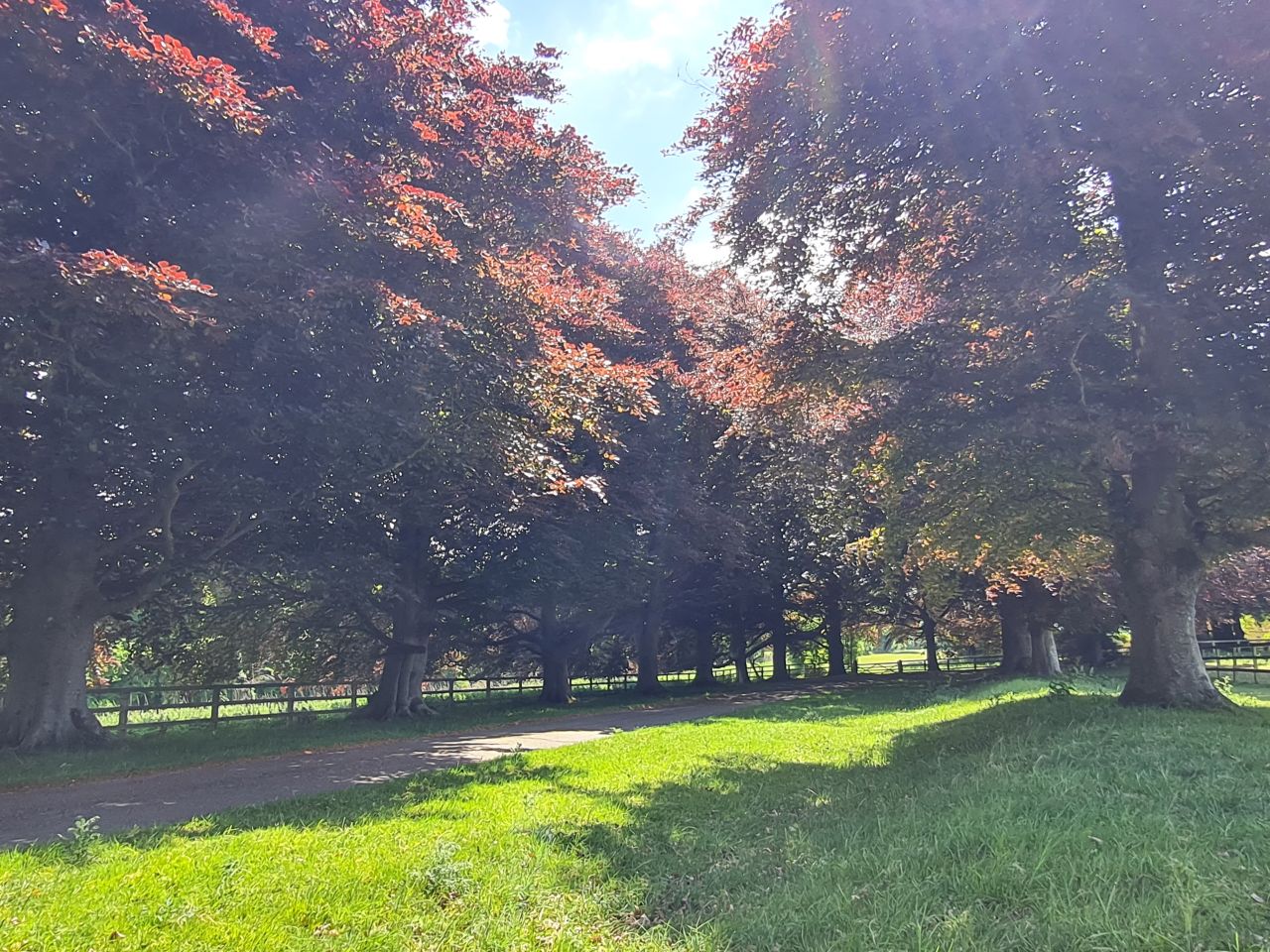 2025-05-17 24 Harting Down.jpg