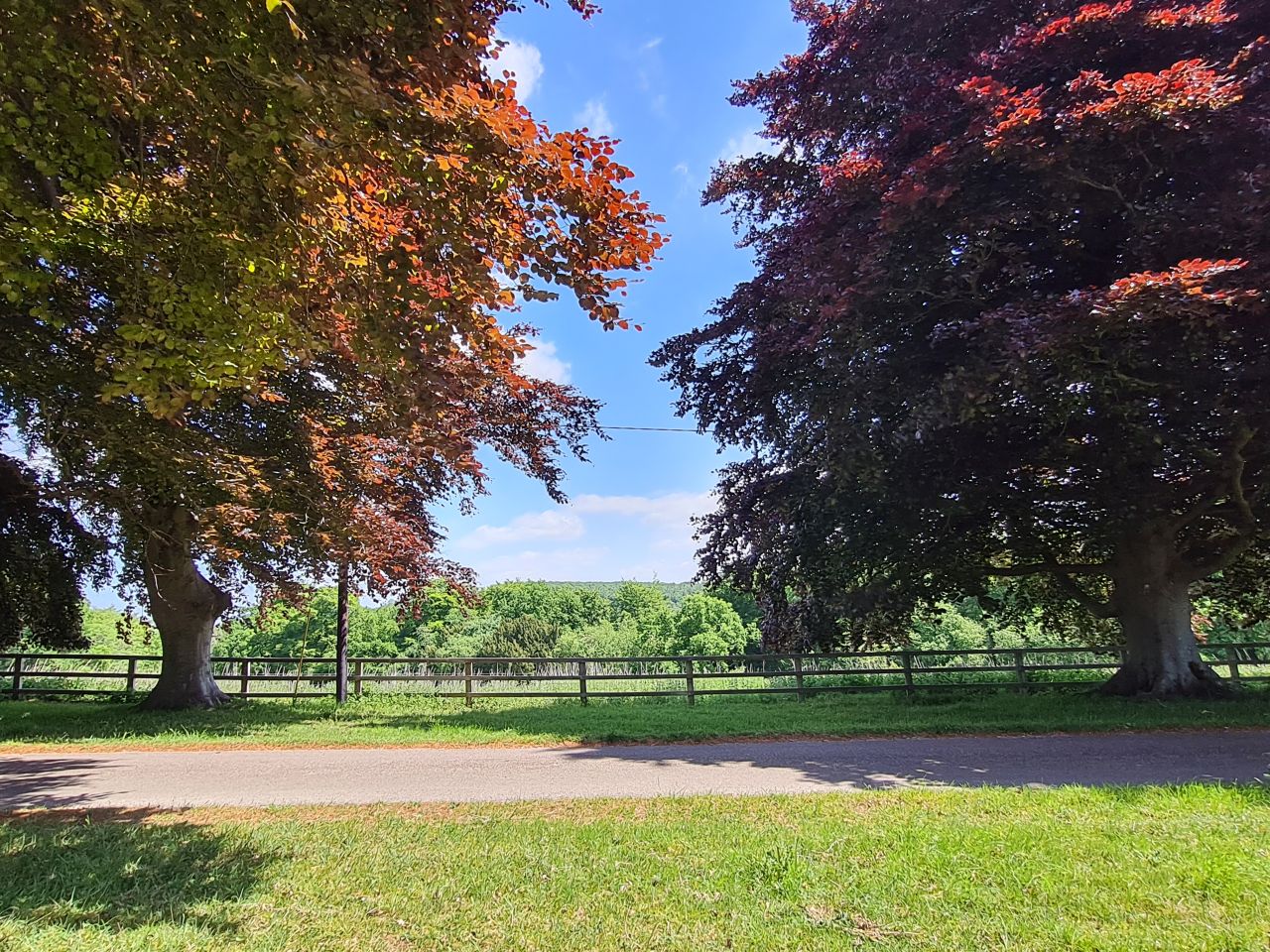 2025-05-17 25 Harting Down.jpg