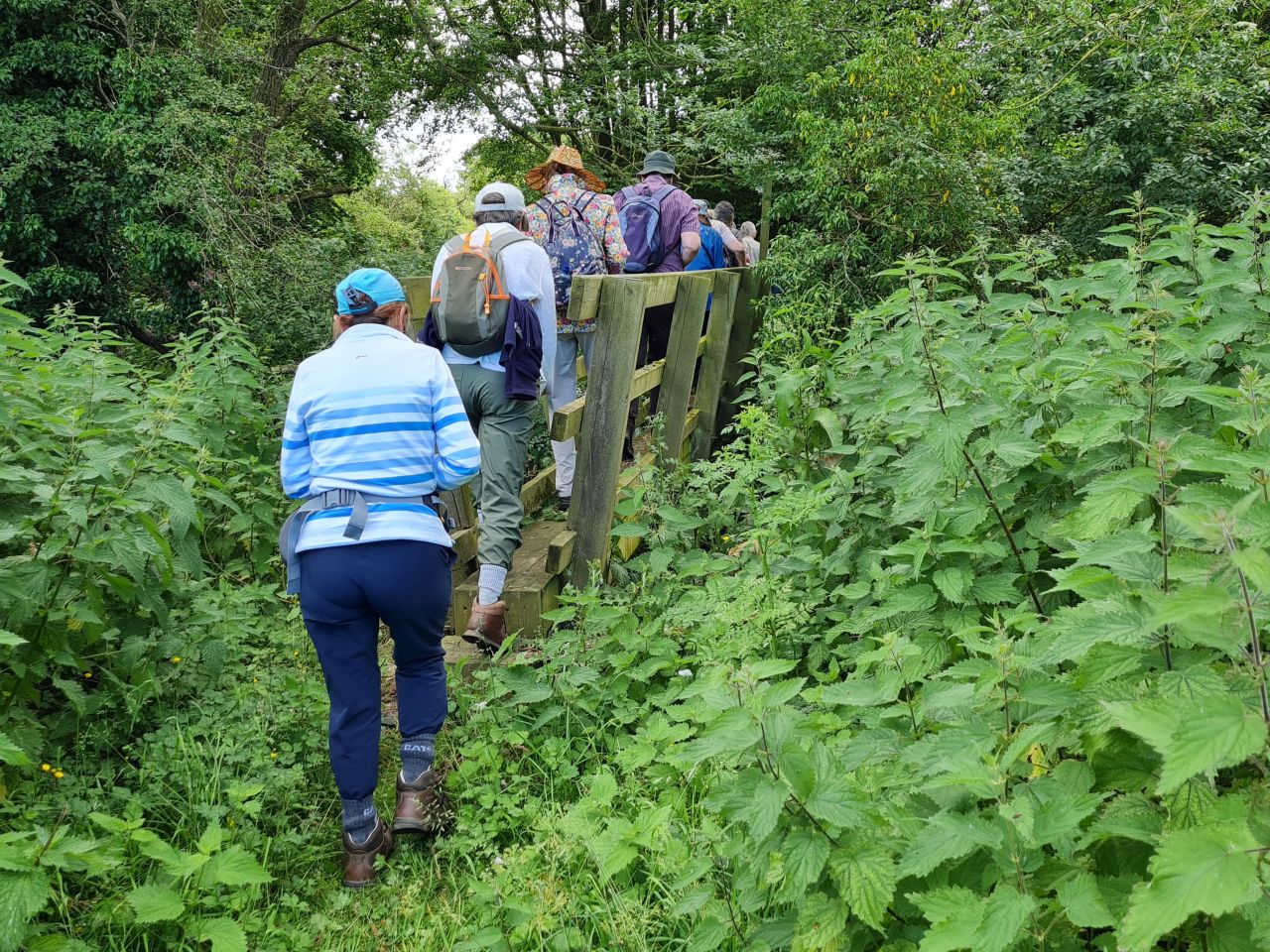 2024-06-20 13 Dickleburgh.jpg