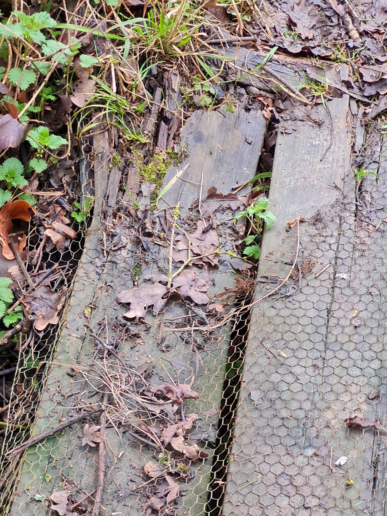 2025-02-13 03 Stockton.jpg