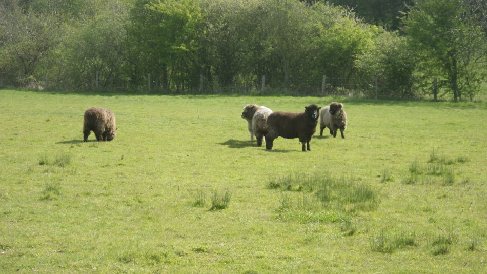 2017-04-19 05 Wissett Area.jpg